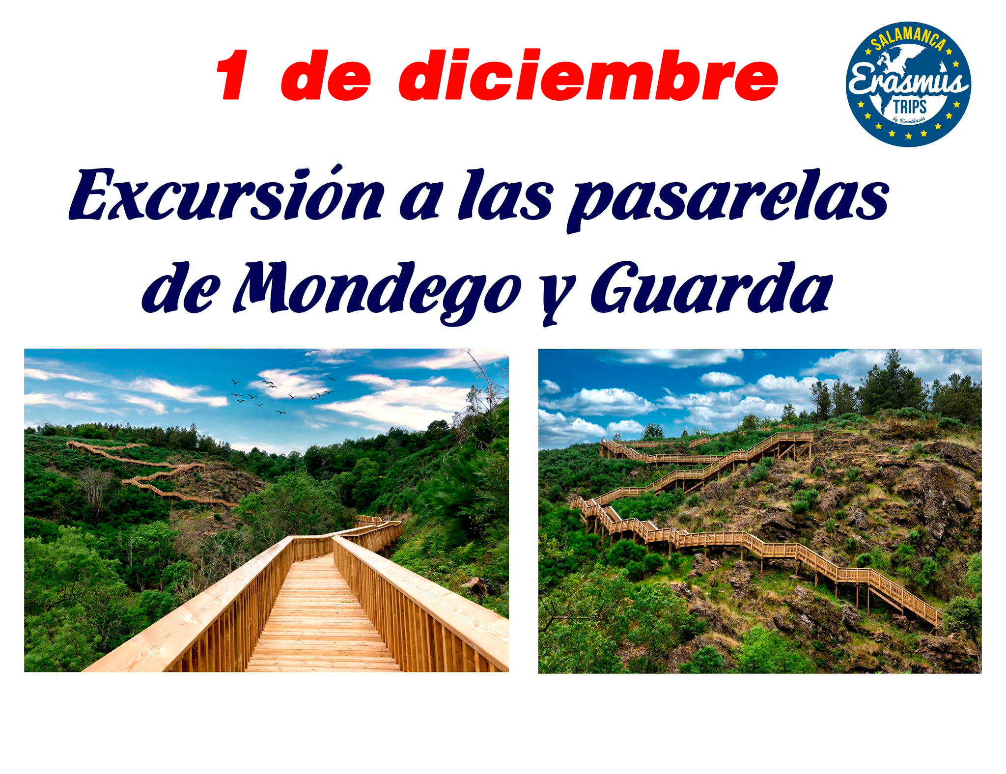  <strong> PASARELAS DE MONDEGO Y GUARDA # Domingo 1 Diciembre 2024